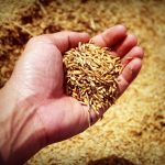 Firmy parają się produkcją maszyn dysponują w propozycji standardowe warianty